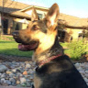 Meet your Posher, Katherine